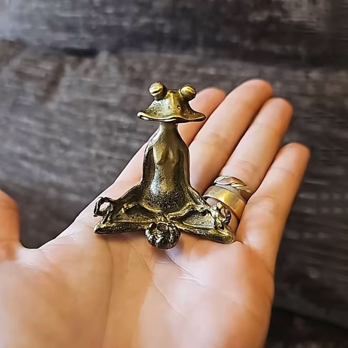 Serenova Meditation Frog | Handmade Incense Holder Made of Brass | Spiritual Decor & Gift Idea for Meditation - Image 5