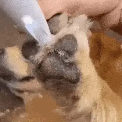 SilentPet Trimmer - Silent dog trimmer for clean paws & sensitive areas - Image 3