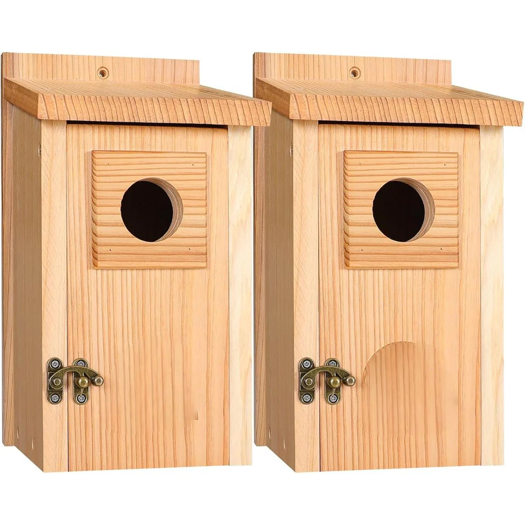 SKYDWELL – Cedar Wood Nesting House for Blue Jays, Swallows, and Small Birds - Image 10
