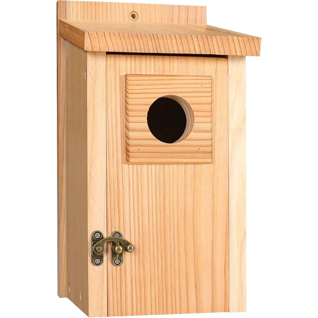 SKYDWELL – Cedar Wood Nesting House for Blue Jays, Swallows, and Small Birds - Image 11