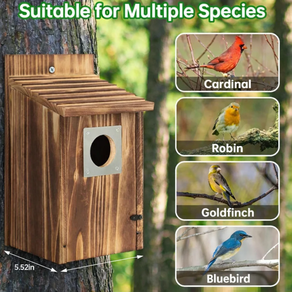 SKYDWELL – Cedar Wood Nesting House for Blue Jays, Swallows, and Small Birds - Image 13