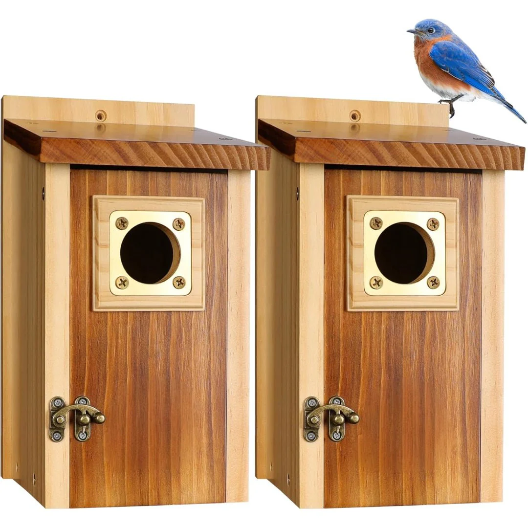 SKYDWELL – Cedar Wood Nesting House for Blue Jays, Swallows, and Small Birds - Image 6