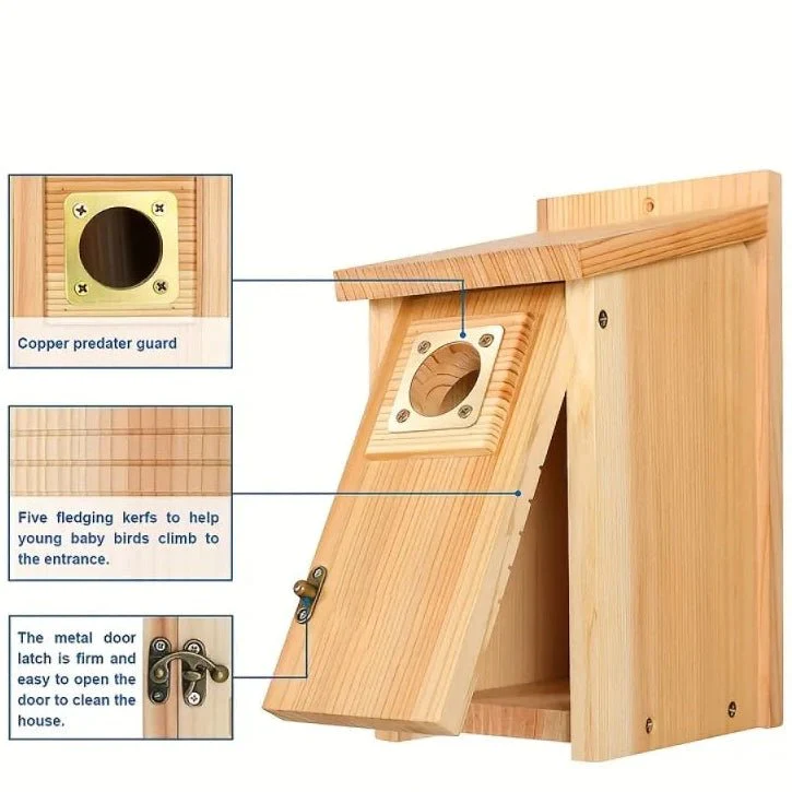 SKYDWELL – Cedar Wood Nesting House for Blue Jays, Swallows, and Small Birds - Image 8