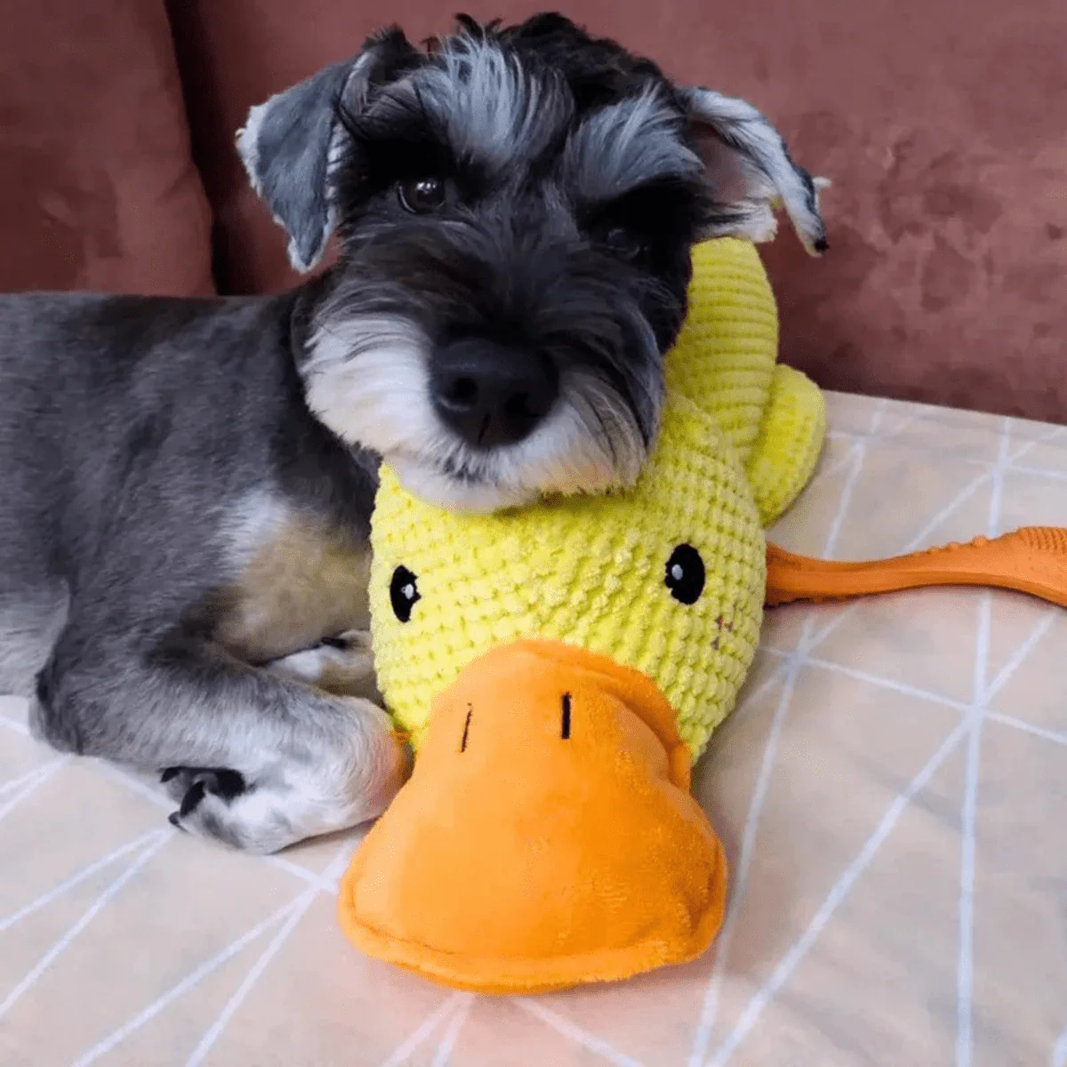 SnuggleBeak Plush Toy for Dogs | Soft Squeaky Duck | Durable Cuddly Toy | Comfort Toy | Dog Accessories - Image 7