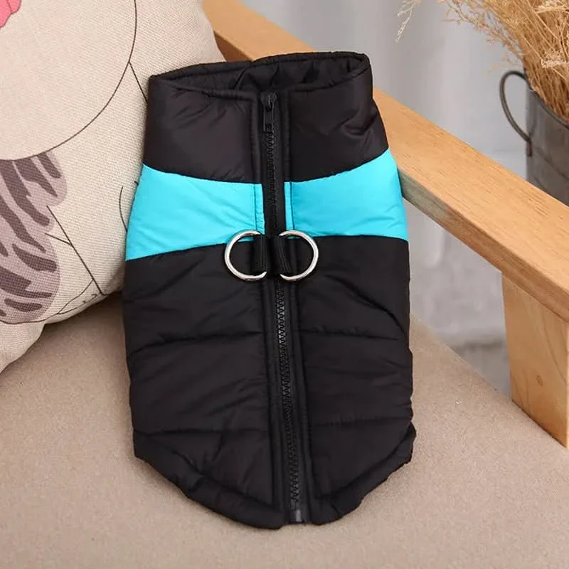 SnugTail – Warm & Waterproof Winter Jacket for Dogs - Image 3