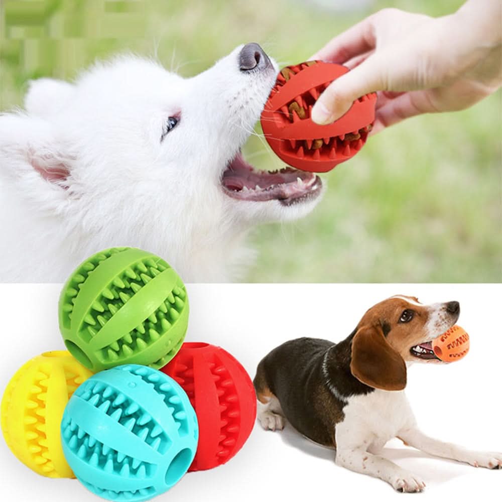 SPIELMEISTER - Interactive dog toy with dental care effect - Image 3
