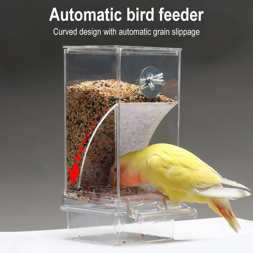 SPILLNEST – Automatic bird feeder for outdoors with drip- and splash-protected housing - Image 3