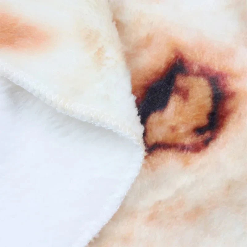 TACO HUG – Cozy Taco Flannel Blanket with Funny Tortilla Design - Image 7