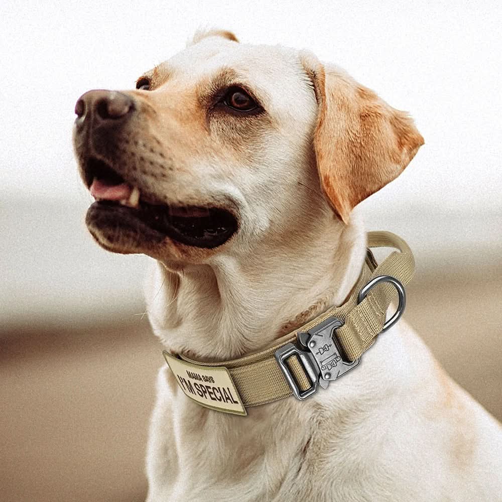 TACTICALK9 DOG COLLAR SET – Durable & Adjustable Collar for Training & Everyday Use - Image 11