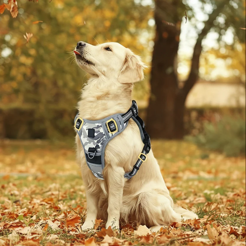 TRAILPAW – Reflective, breathable dog harness for small and large dogs - Image 7