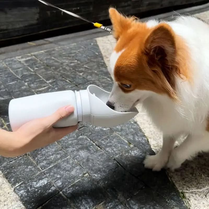 TRAILSIP – Foldable Water Bottle for Pets with 550 ml Capacity - Image 2