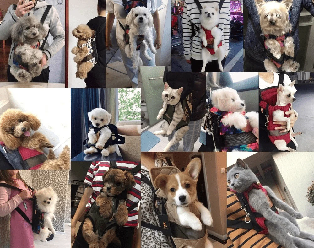 Travelbuddy Carrier - Breathable pet travel bag for stylish & safe travelling - Image 3