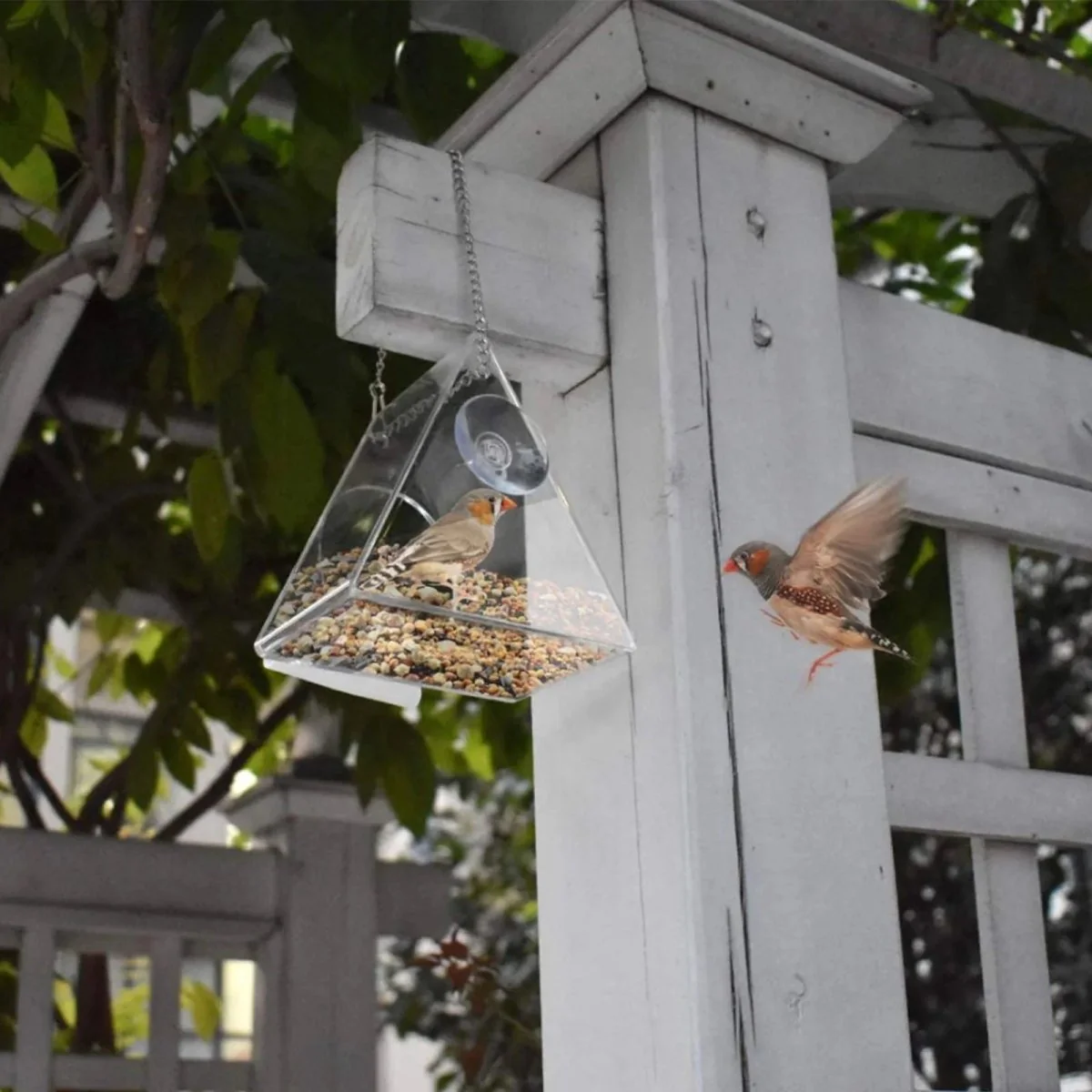 TRIFEED – Acrylic bird feeder for outdoors, triangular wind protection design - Image 6
