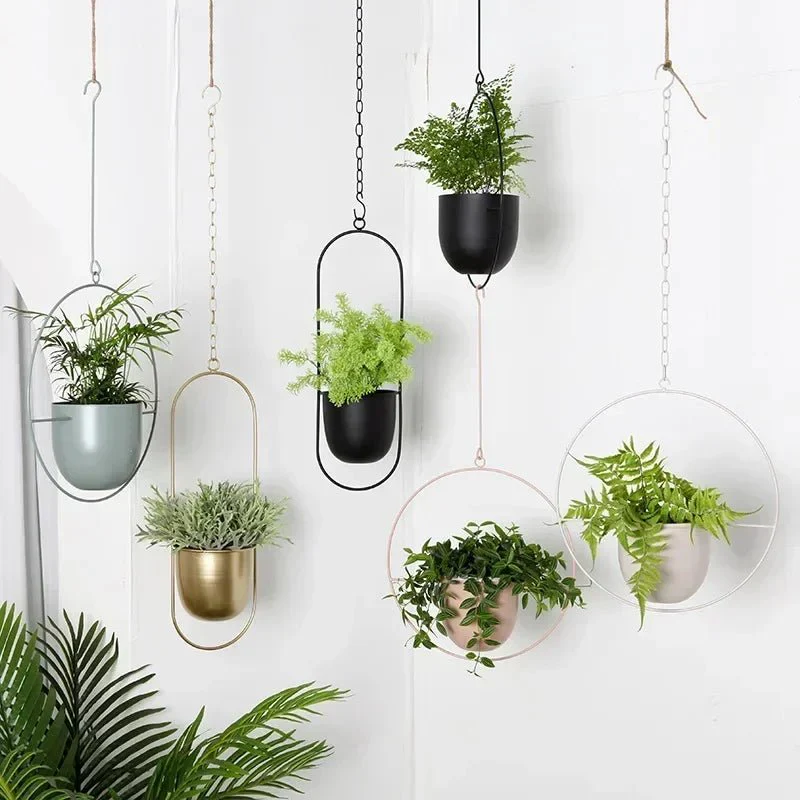 VERTILINE – Minimalist wall plant hanger with adjustable chain for a sleek, clear interior - Image 3