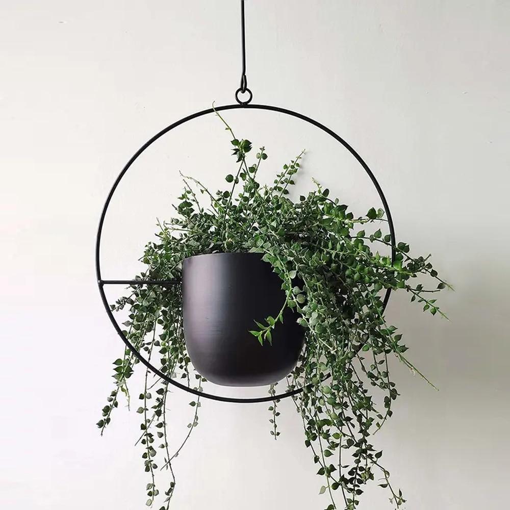 VERTILINE – Minimalist wall plant hanger with adjustable chain for a sleek, clear interior - Image 7