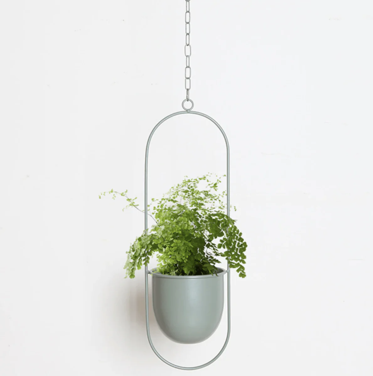 VERTILINE – Minimalist wall plant hanger with adjustable chain for a sleek, clear interior - Image 9
