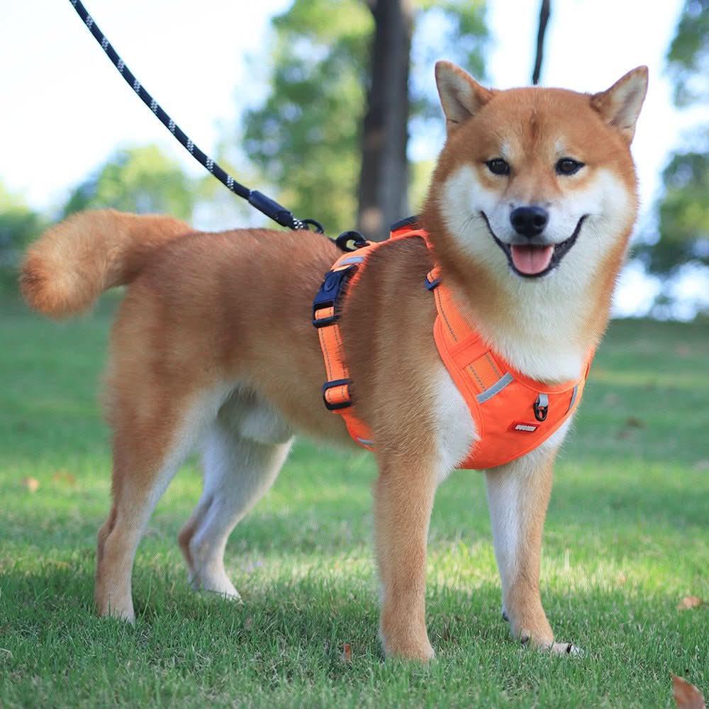WalkEase Harness - anti-pull dog harness for pain-free walks - Image 2