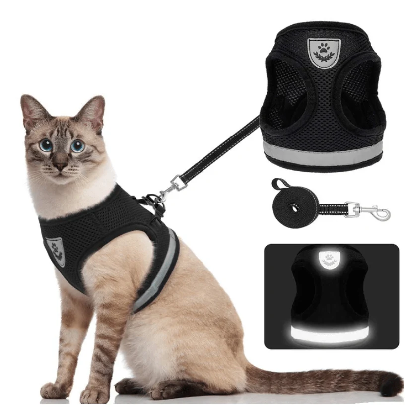 WANDERPAW – Escape-proof cat harness with reflective details - Image 11