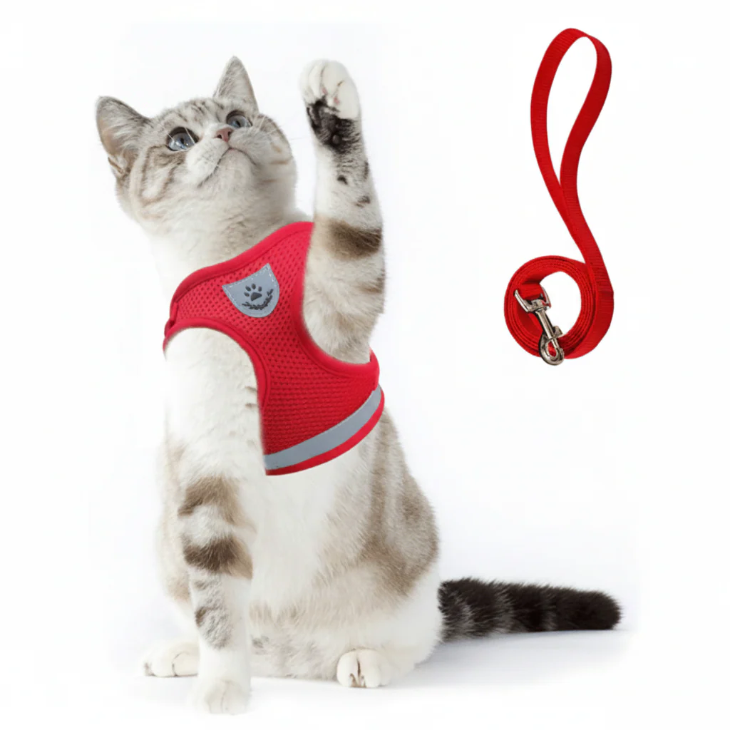 WANDERPAW – Escape-proof cat harness with reflective details - Image 12