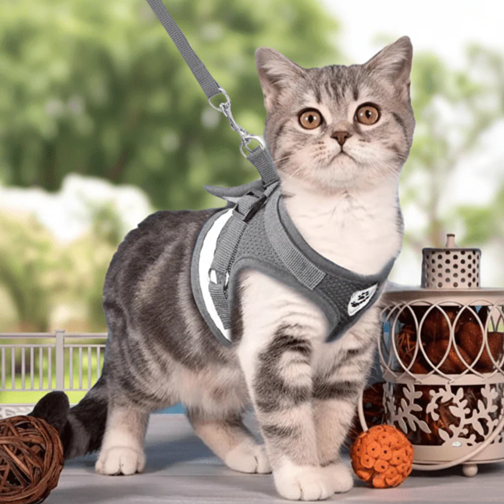 WANDERPAW – Escape-proof cat harness with reflective details - Image 13