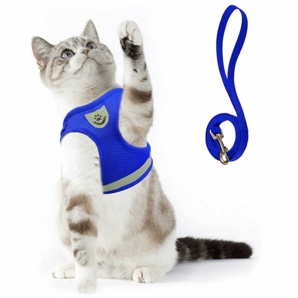 WANDERPAW – Escape-proof cat harness with reflective details - Image 14