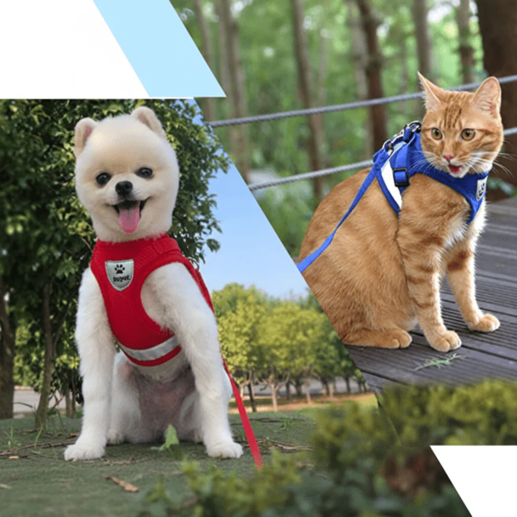 WANDERPAW – Escape-proof cat harness with reflective details - Image 7