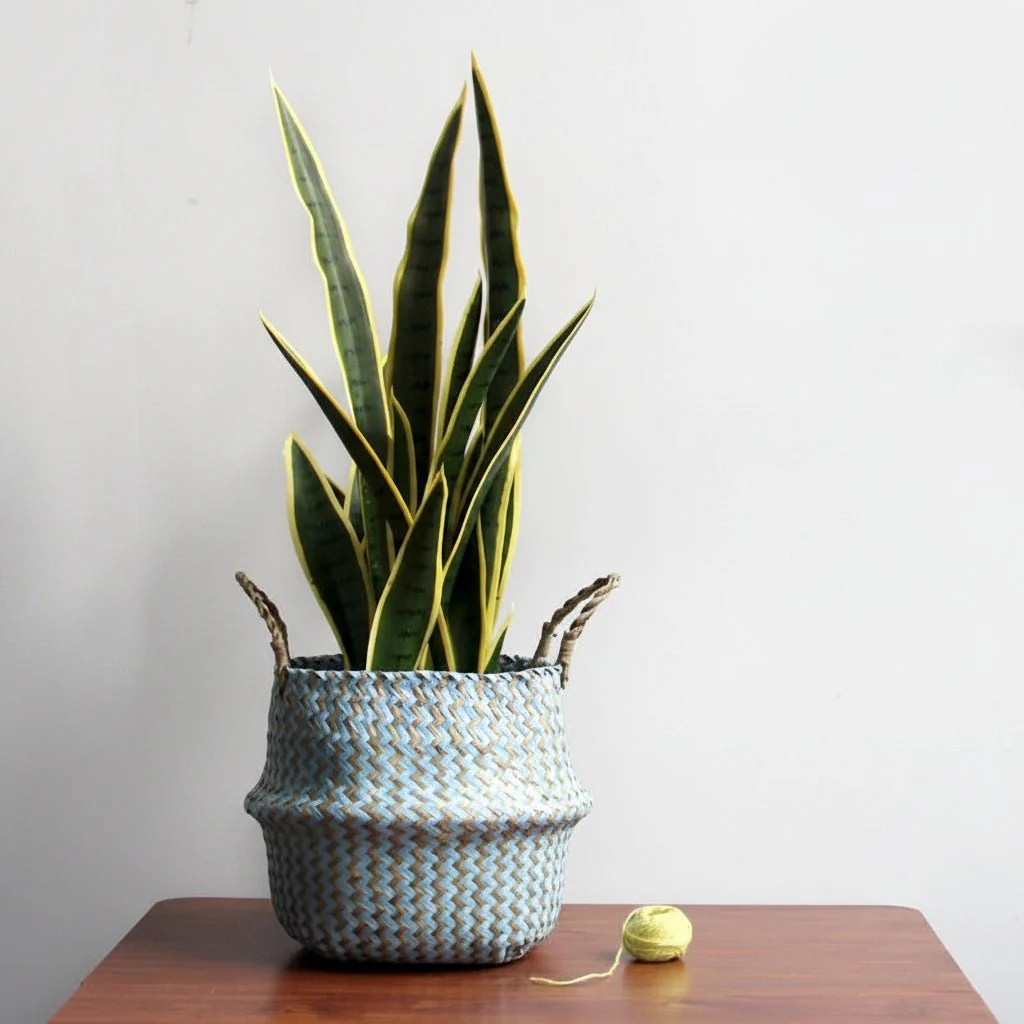 ZENWOVEN – Handmade Boho Willow Basket as Foldable Plant Basket - Image 2